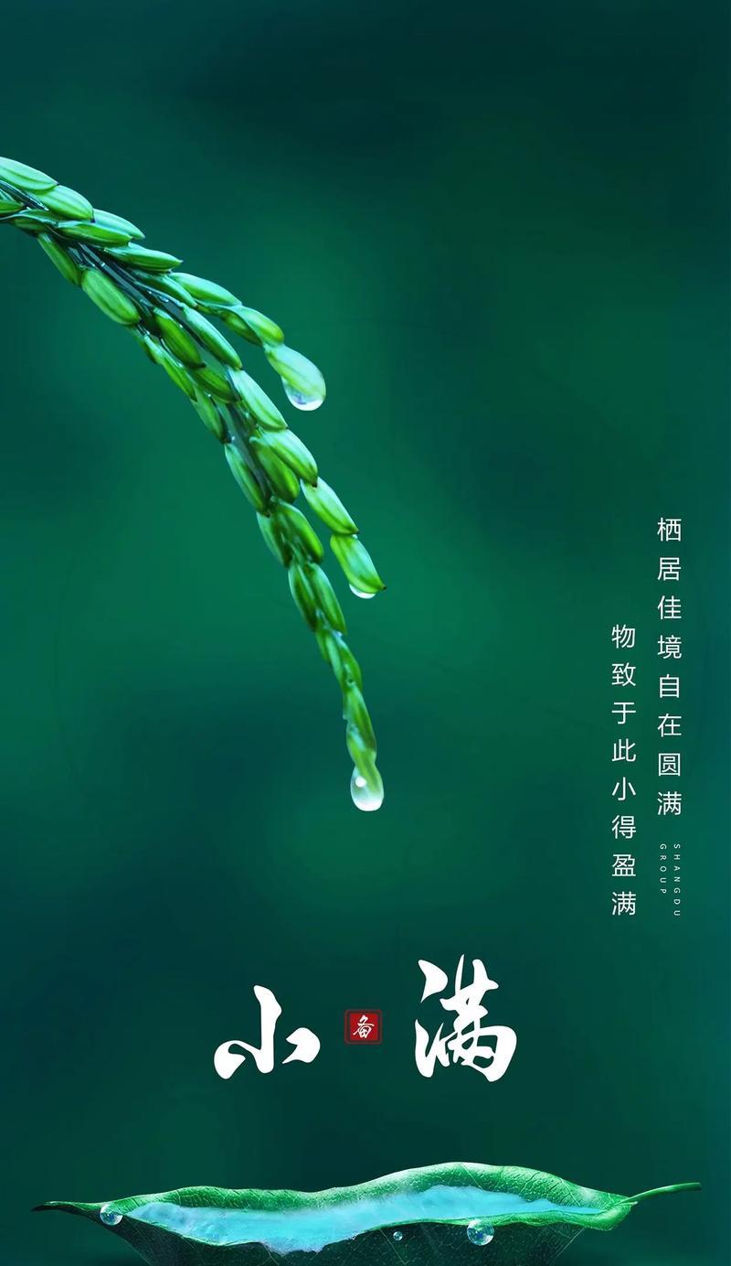 今天小满是什么意思（《小满之际，春意犹存》）