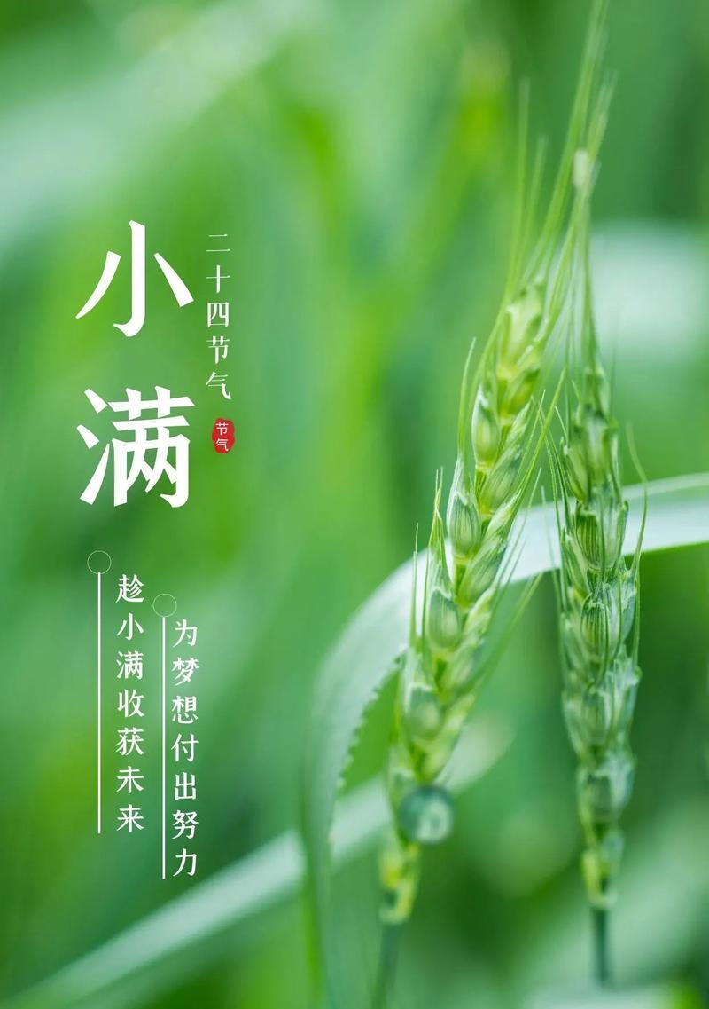 今天小满是什么意思（《小满之际，春意犹存》）