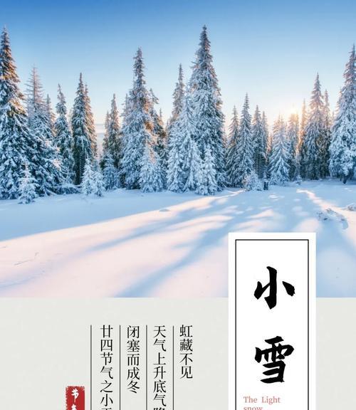 《小雪》——纷落一地白，寒意扑面而来