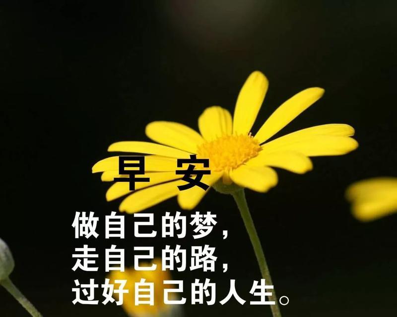 2024最新早安心语——点亮美好生活