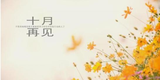 岁月如歌，2024的最后一天（纪念岁月）