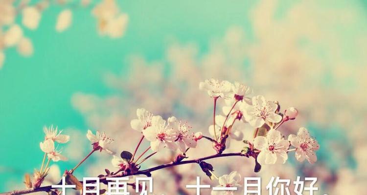 2024，最后一天的心情（流年匆匆）