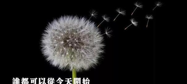 迎接未来的美好（跨越2024）