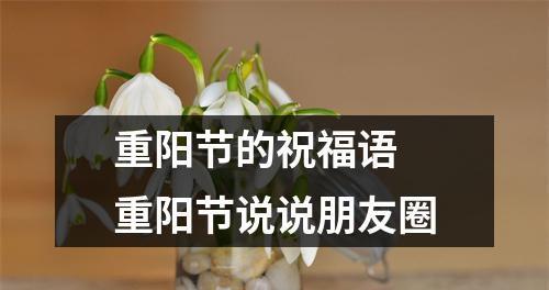 岁月静好，祝福长存——2024重阳节朋友圈短信祝福语（唯美短句表达真情）