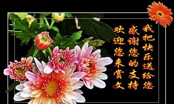 用唯美短句送去最美祝福（用唯美短句送去最美祝福）