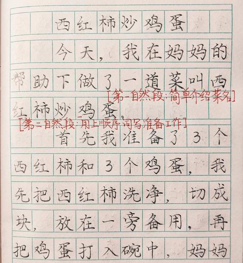 制作立夏饭的过程作文作文怎么写？（《立夏时节，青春的味道》）