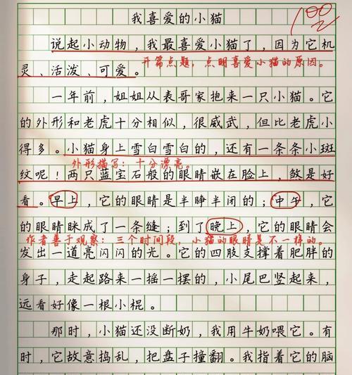 有关快乐小猫母亲节作文的作文怎么写（《温馨的母亲节——小猫的快乐日记》）