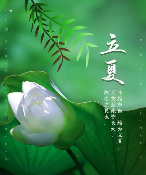 春天的芬芳（立春节气的美好）