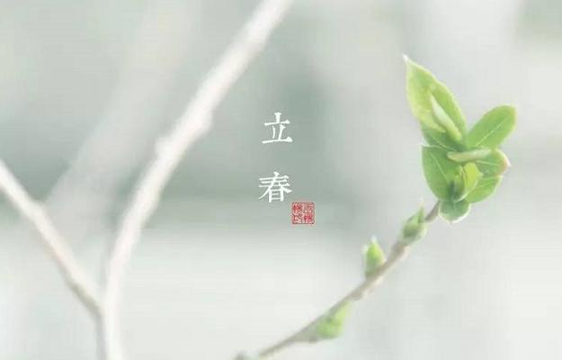 春意盎然，立春祝福（用唯美短句传递温暖）