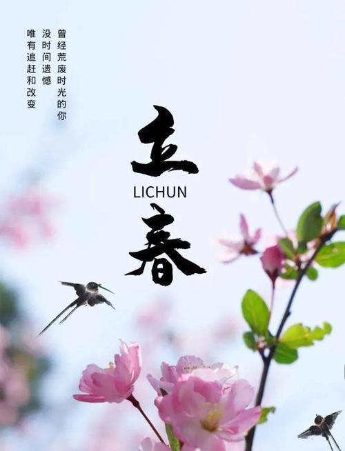 迎接春天的温柔（迎接春天的温柔）