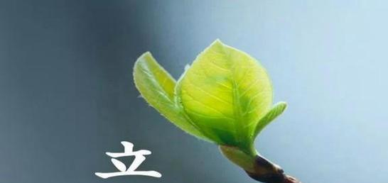 立春，新春的第一缕阳光（用25个唯美的好句感受立春的美好）