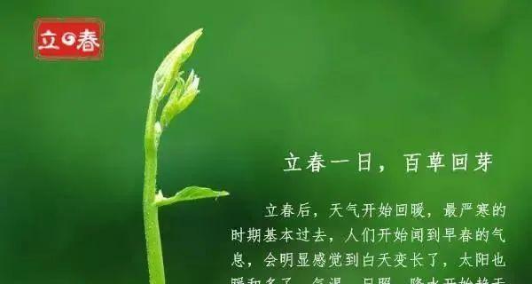 立春人生励志祝福语好句最新（唯美短句为你打开成功之门）