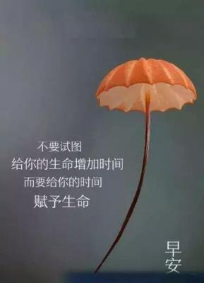 《2024，正能量的早安问候》