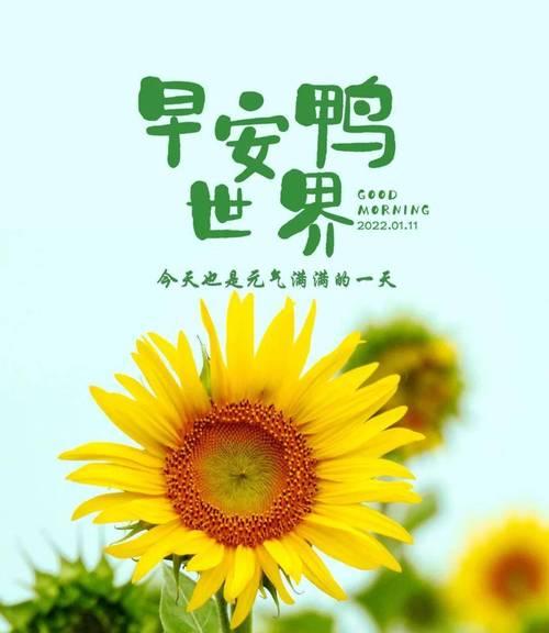 唤起每个人的灵魂，让心灵更加美好（唤起每个人的灵魂）