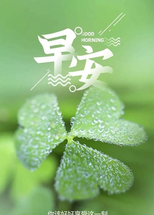 以唯美短句为主，共享每一个美好的早晨（以唯美短句为主）