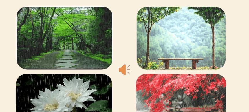 赞美秋天的雨（2024年）