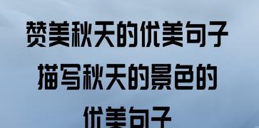 2024，秋天，如此美妙（用唯美句子描绘这个季节的魅力）