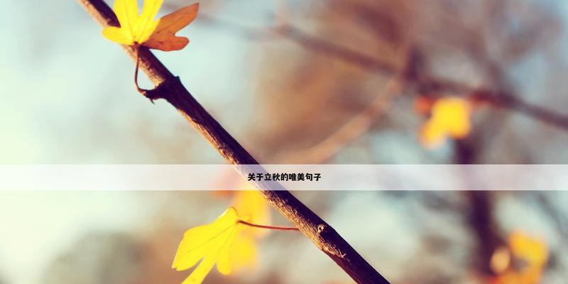 《向2024年立秋致敬》