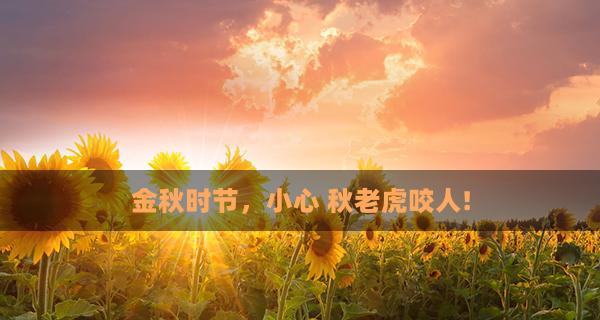《向2024年立秋致敬》