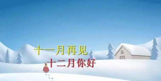 离别的十一月，相遇的十二月（2024）