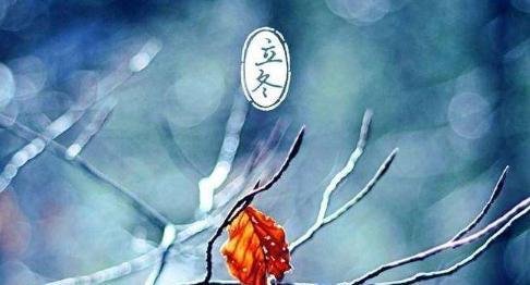 秋尽冬至，万物入梦（一场秋雨）