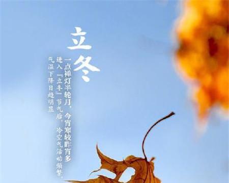 秋尽冬至，万物入梦（一场秋雨）