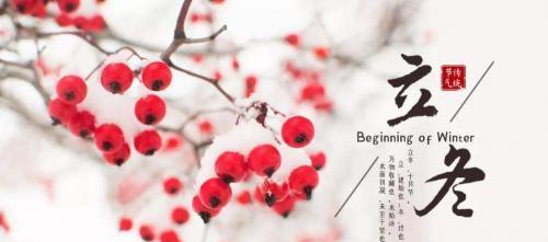 秋尽冬至，万物入梦（一场秋雨）
