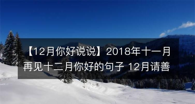 再见2024，感恩有你（一句话说说）