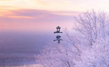 迎接立冬，诉说心情（唯美句子构建文艺小清新世界）