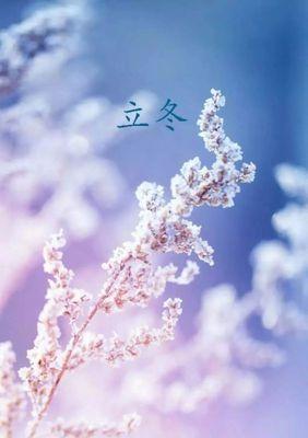 《立冬唯美好句》——感受岁月流转的美妙