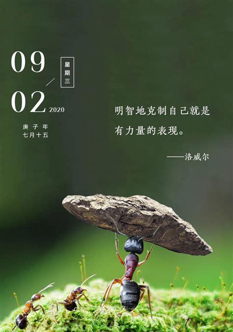 心情如诗，岁月如歌（一路有你）