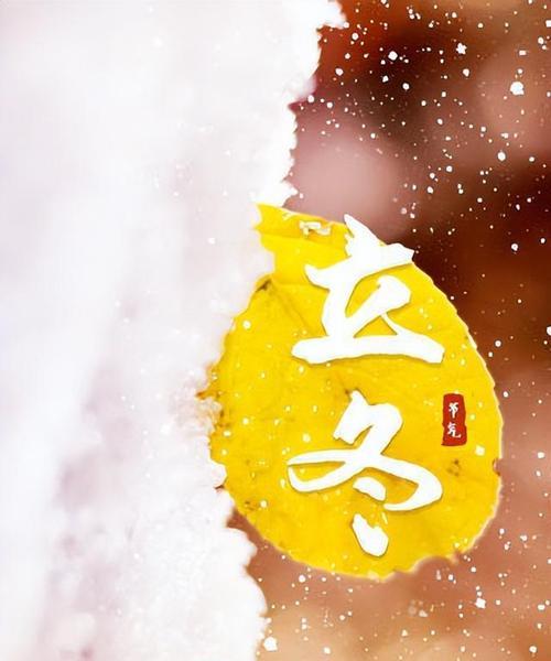 感受寒冬，品味温馨（感受寒冬）