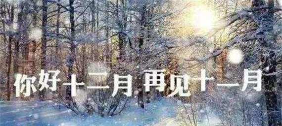 岁月不老，我们依旧青春（岁月不老）