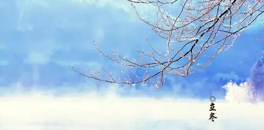 寒意渐临，立冬之美（用唯美短句描绘秋冬过渡时的美景）