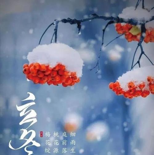 瞬间，立冬已至（唯美短句）