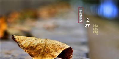 立秋节气，心情好句（唤醒内心的美好）