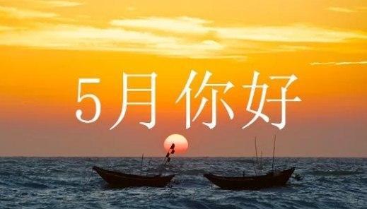 时光荏苒，唯美留存——以2024再见2024你好（唯美句子的魅力）