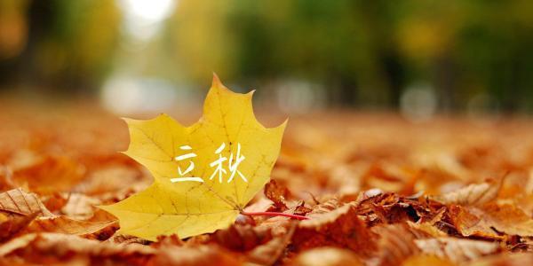 立秋经典祝福寄语好句2024（用诗意的语言）