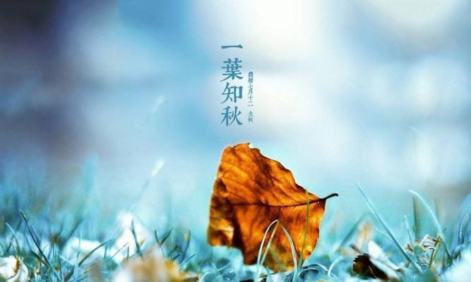 《落叶轻舞，秋风渐至》