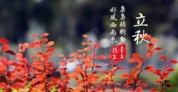 《落叶轻舞，秋风渐至》