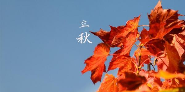 以立秋朋友圈祝福语好句为主题的唯美短句（传递秋季的温馨与祝福）