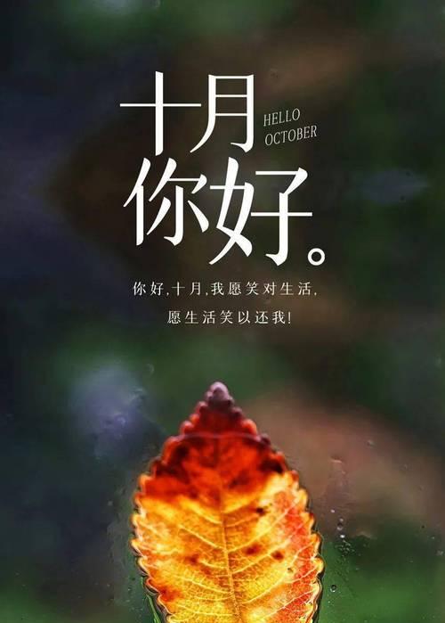 25个段落，25个故事，25个感悟（25个段落）