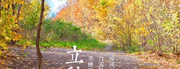 柔情万种，立秋唯美句子盛放（以句为笔）