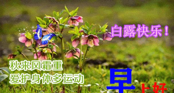 1.立秋到，愿你心情愉悦，气息清新。