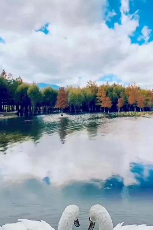 梦幻之境——追寻美景（探寻大自然的神奇魅力）
