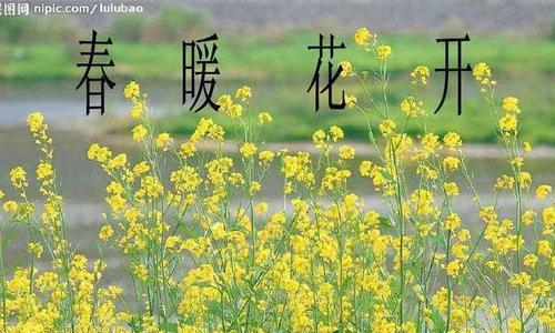 赞美春景（细品春光）