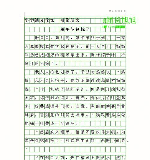 端午节作文340字怎么写？（《粽子飘香，青春故事》）
