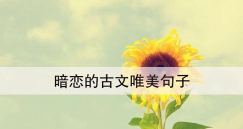 相思之言（一封古风情书）