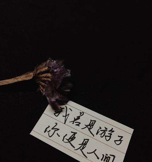 相思之言（一封古风情书）