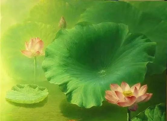 净化心灵，唯美悠然（禅意涤荡）